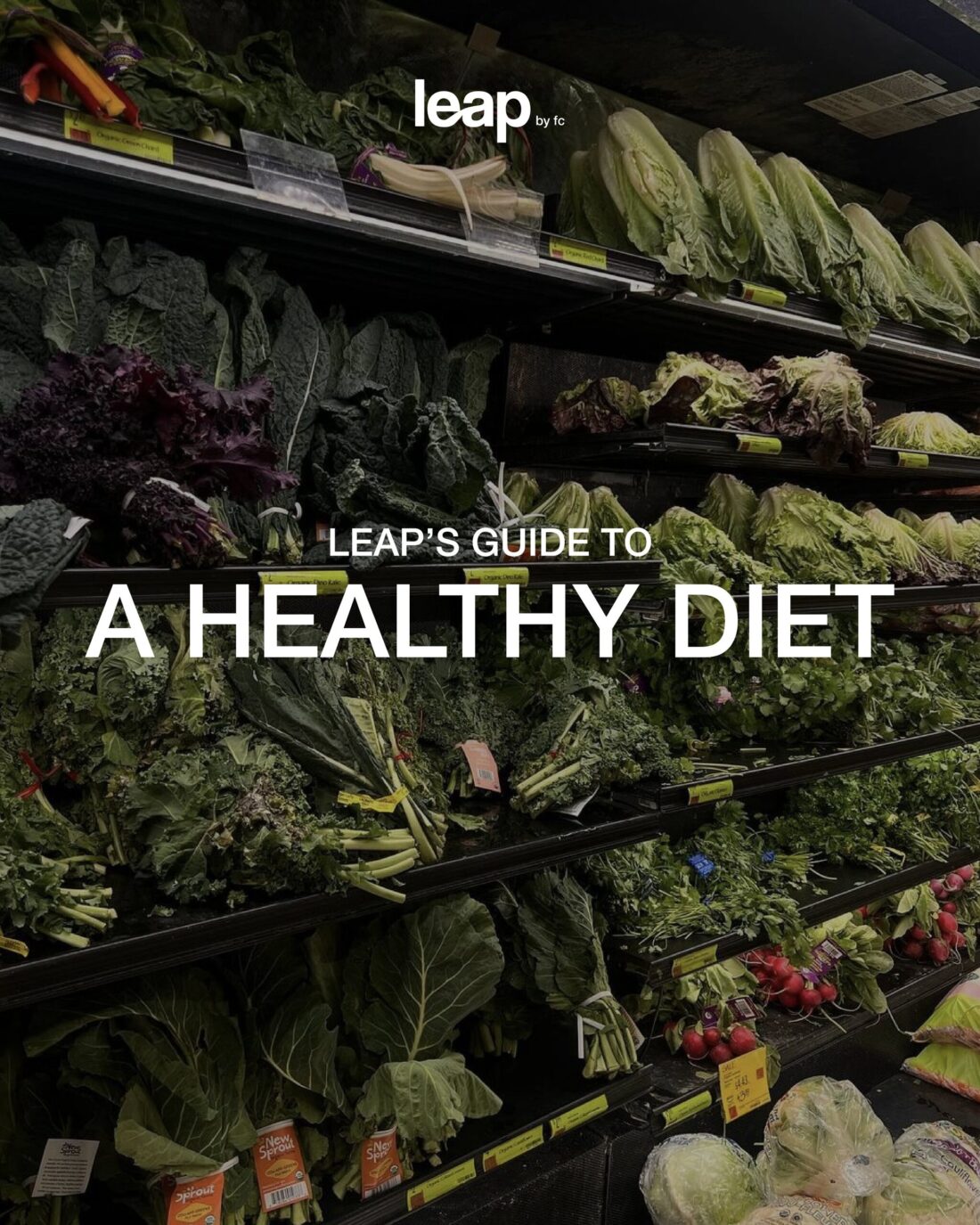 Leap’s Guide to a Healthy Diet