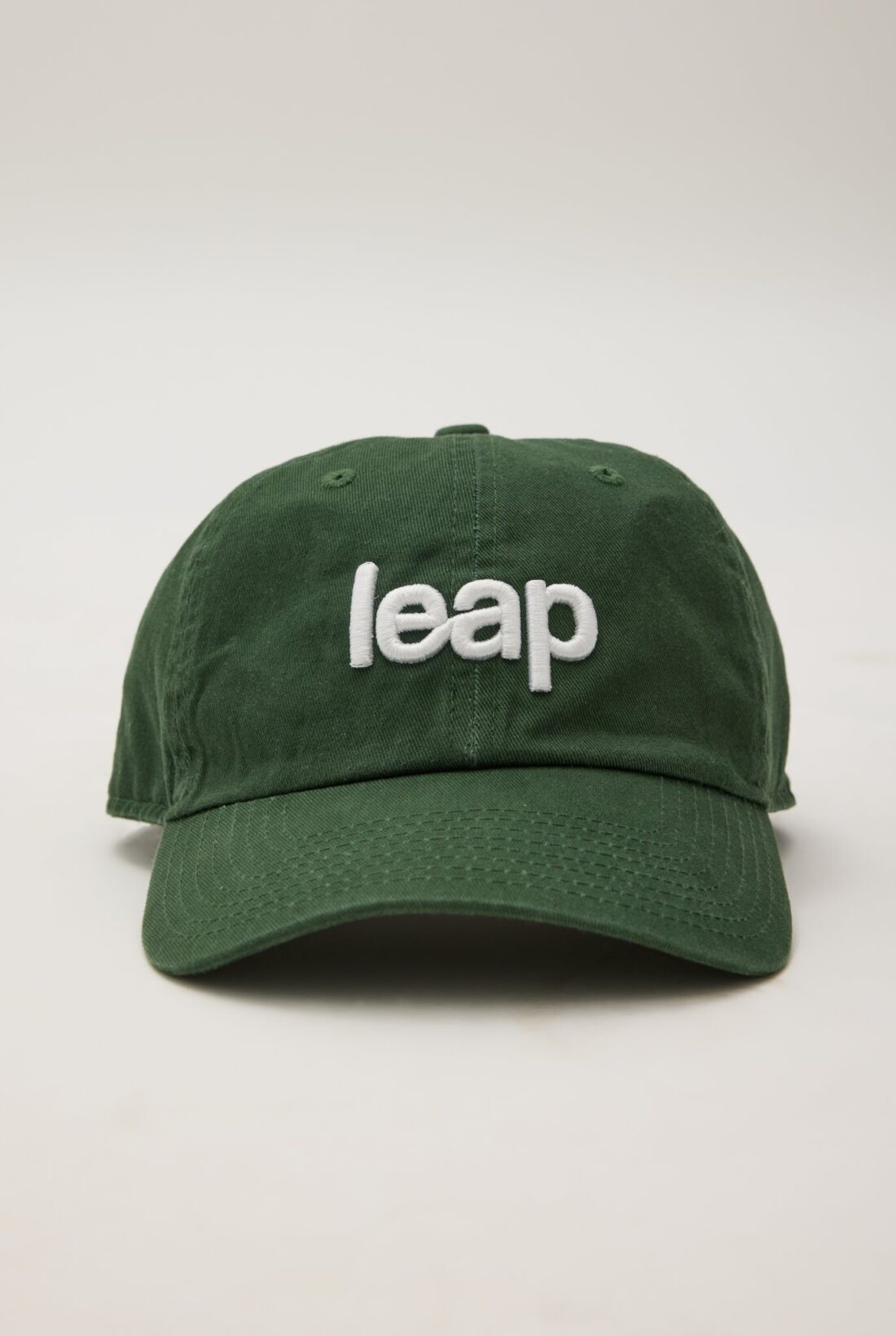 THE EVERYDAY CAP