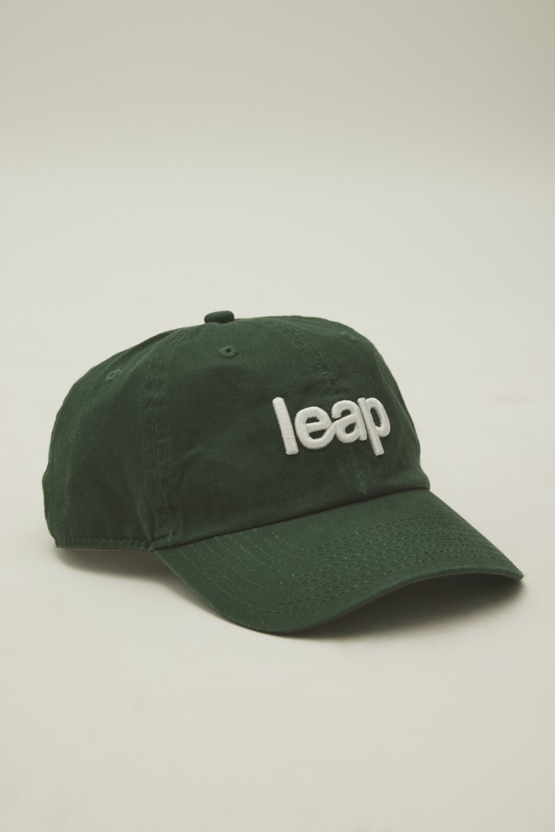 THE EVERYDAY CAP