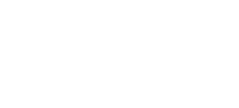 leap by fc